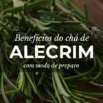 Chá de Alecrim: Benefícios e propriedades medicinais