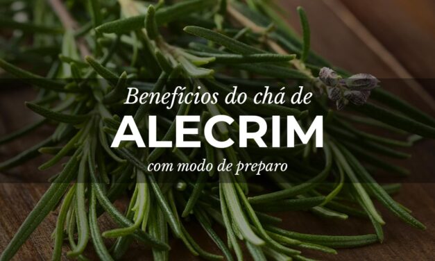 Chá de Alecrim: Benefícios e propriedades medicinais