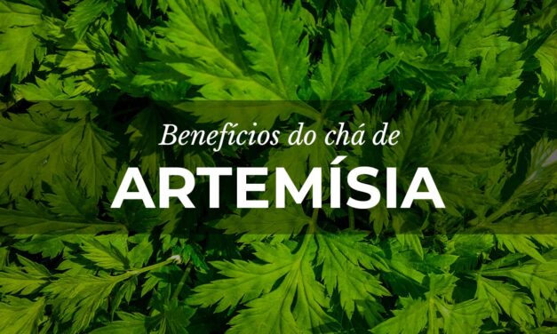 Chá de Artemísia: Benefícios para a saúde