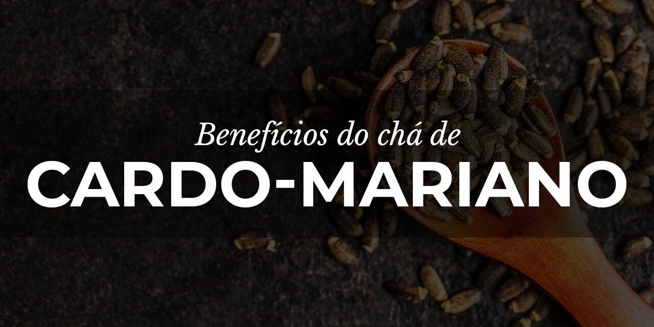 Chá de Cardo-Mariano: Aliado na saúde do fígado
