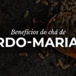 Chá de Cardo-Mariano: Aliado na saúde do fígado