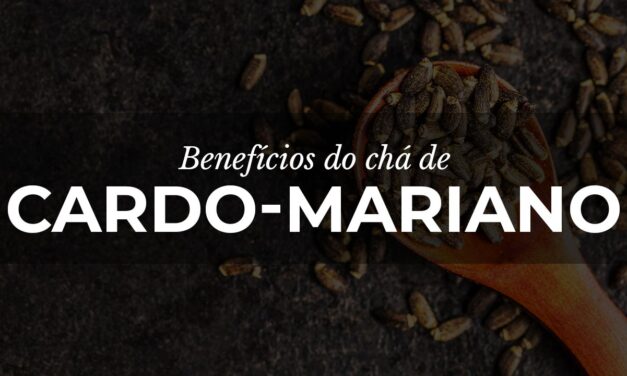 Chá de Cardo-Mariano: Aliado na saúde do fígado