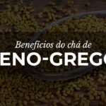 Chá de Feno Grego: Benefícios e usos para a saúde