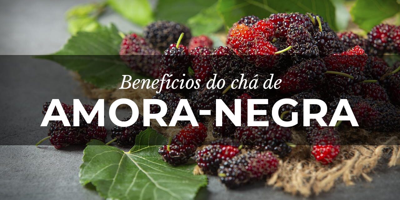 Chá de frutos liofilizados de Amora: Benefícios nutricionais