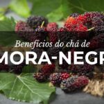 Chá de frutos liofilizados de Amora: Benefícios nutricionais