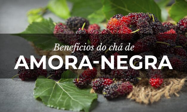 Chá de frutos liofilizados de Amora: Benefícios nutricionais